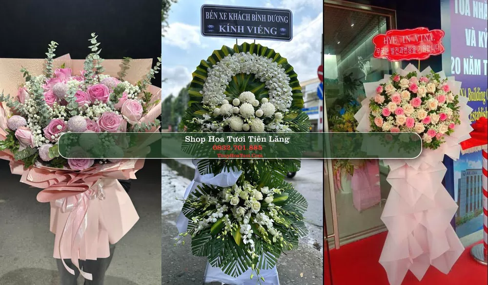 Shop Hoa Tươi Tiên Lãng - Huyện Tiên Lãng (Cũ)