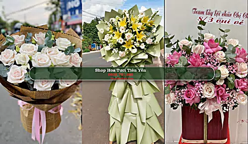 Shop Hoa Tươi Tiên Yên - Huyện Tiên Yên (Cũ)