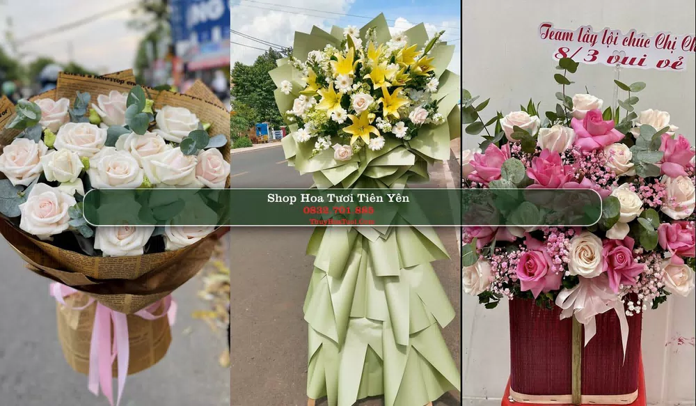 Shop Hoa Tươi Tiên Yên - Huyện Tiên Yên (Cũ)
