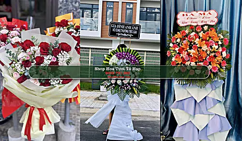 Shop Hoa Tươi Tô Hạp - Huyện Khánh Sơn (Cũ)