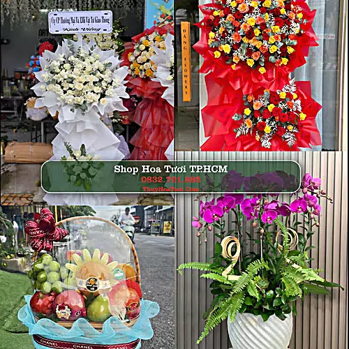 Đặt Hoa Tươi TP.HCM - Giao Nhanh Tận Nơi