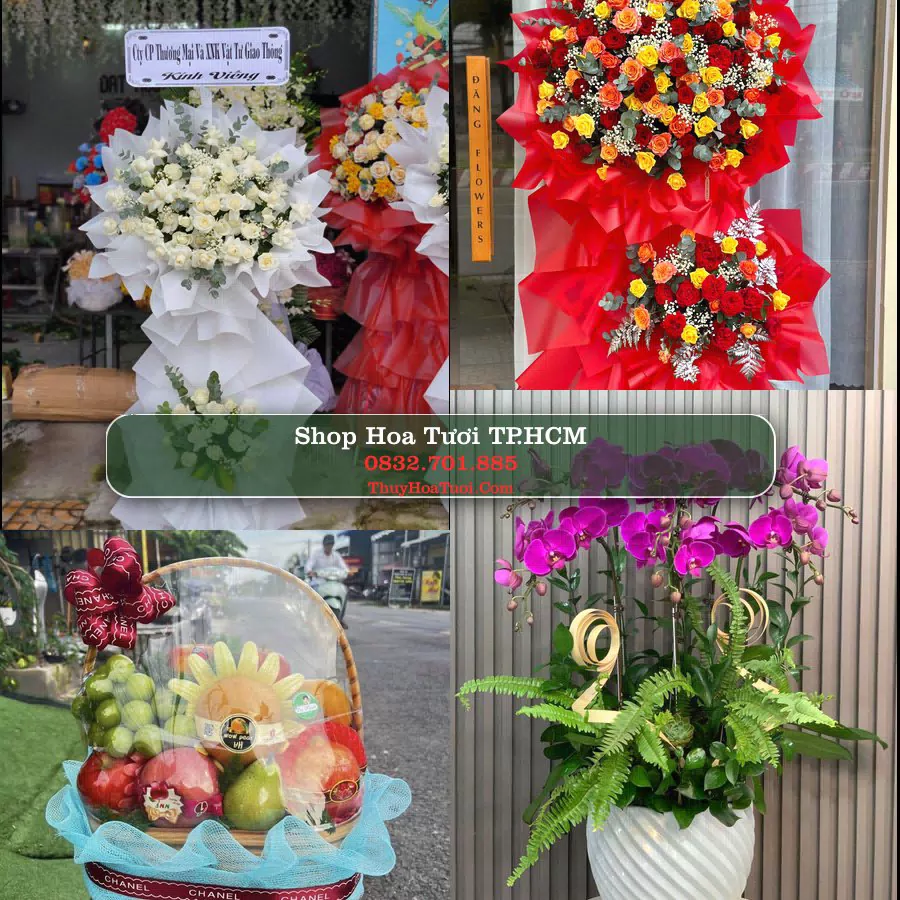 Đặt Hoa Tươi TP.HCM - Giao Nhanh Tận Nơi