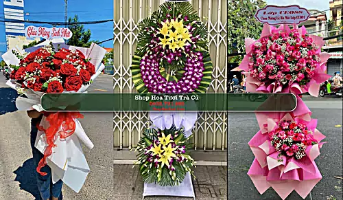 Shop Hoa Tươi Trà Cú - Huyện Trà Cú (Cũ)