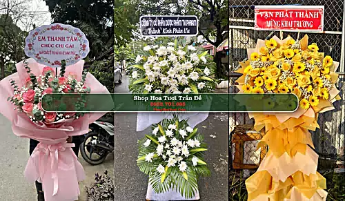 Shop Hoa Tươi Trần Đề - Huyện Trần Đề (Cũ)