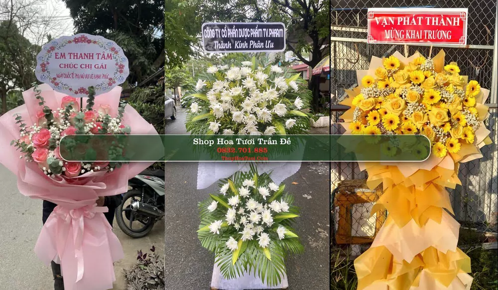 Shop Hoa Tươi Trần Đề - Huyện Trần Đề (Cũ)