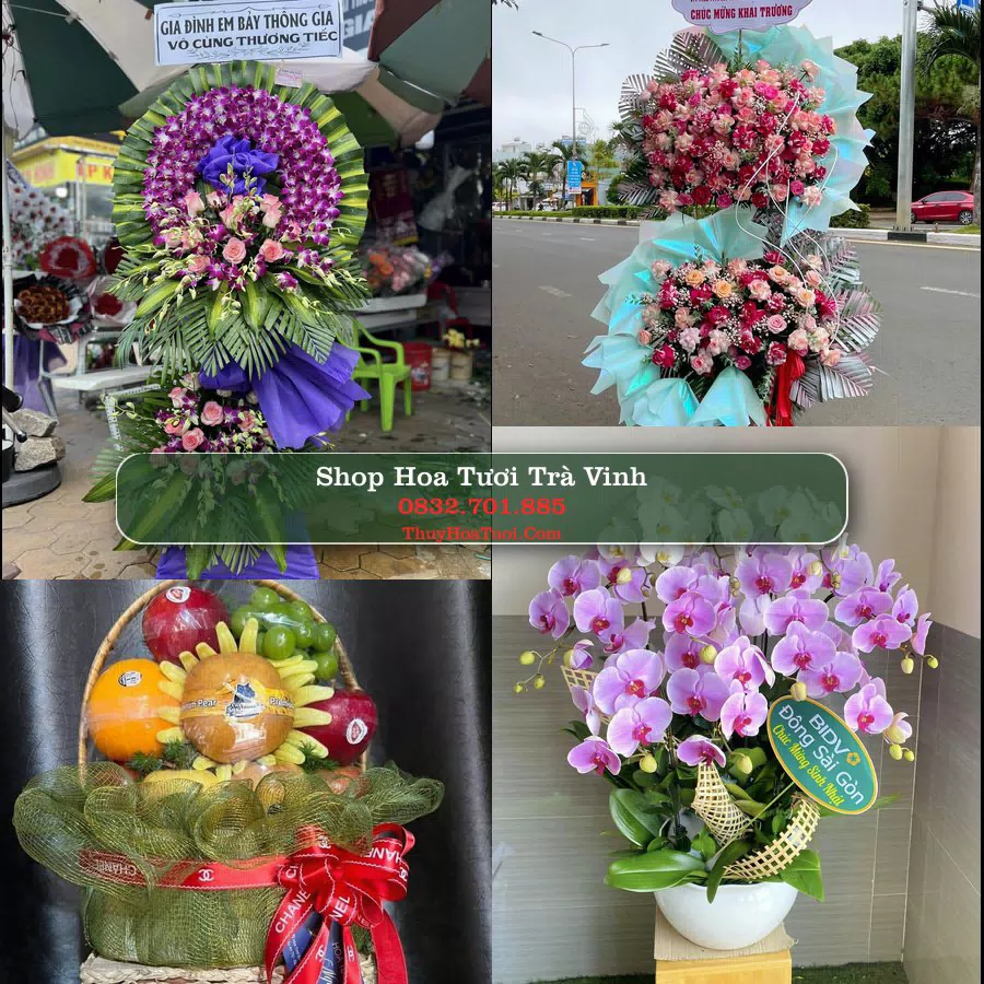 Shop Hoa Tươi Trà Vinh