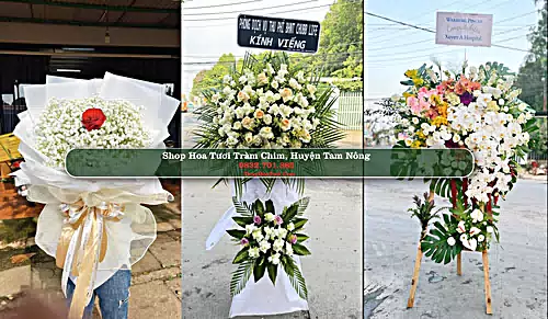 Shop Hoa Tươi Tràm Chim - Huyện Tam Nông (Cũ)