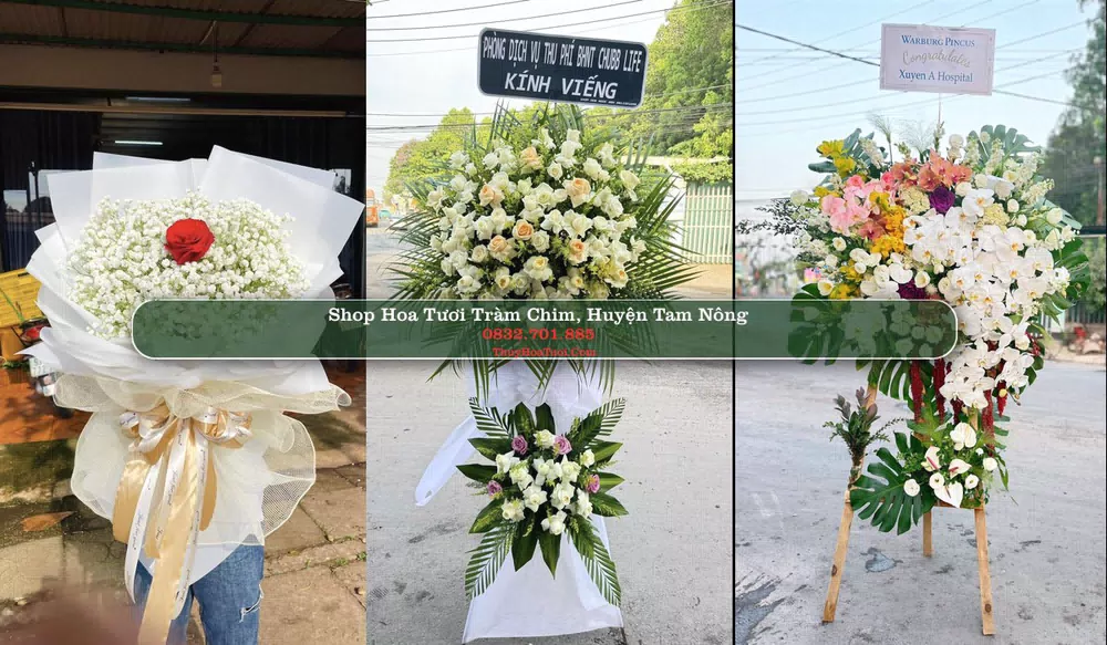 Shop Hoa Tươi Tràm Chim - Huyện Tam Nông (Cũ)