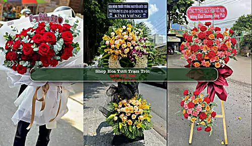 Shop Hoa Tươi Trạm Trôi - Huyện Hoài Đức (Cũ)