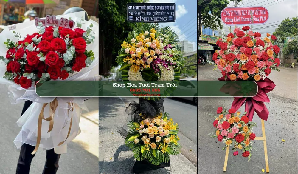 Shop Hoa Tươi Trạm Trôi - Huyện Hoài Đức (Cũ)