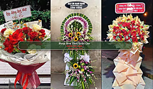 Shop Hoa Tươi Trần Cao - Huyện Phù Cừ (Cũ)