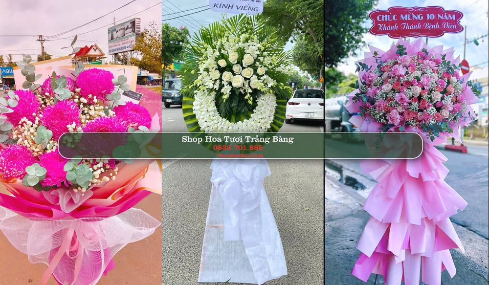 Shop Hoa Tươi Trảng Bàng - Tây Ninh (Cũ)