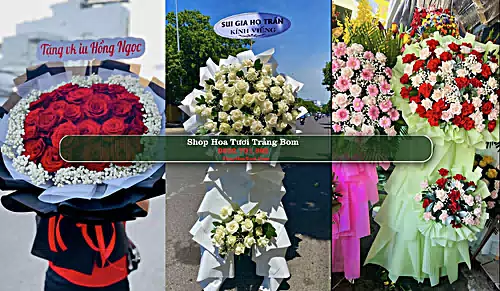 Shop Hoa Tươi Trảng Bom - Huyện Trảng Bom (Cũ)