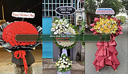 Shop Hoa Tươi Tri Tôn - Huyện Tri Tôn (Cũ)