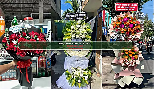 Shop Hoa Tươi Triệu Sơn - Huyện Triệu Sơn (Cũ)