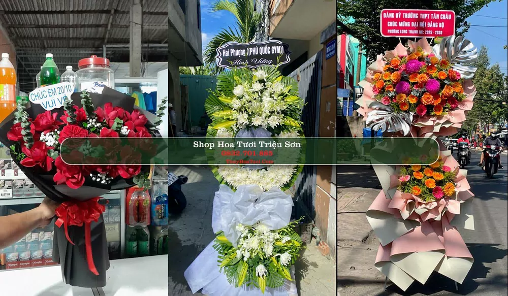 Shop Hoa Tươi Triệu Sơn - Huyện Triệu Sơn (Cũ)