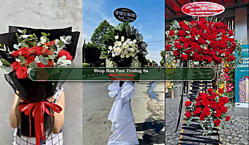 Shop Hoa Tươi Trường Sa - Huyện Trường Sa (Cũ)