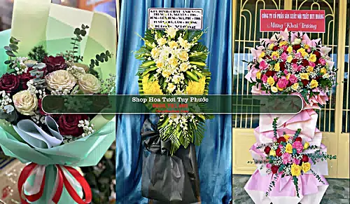 Shop Hoa Tươi Tuy Phước - Huyện Tuy Phước (Cũ)