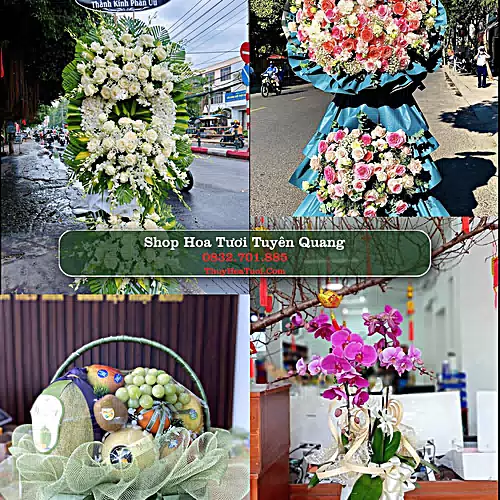 Shop Hoa Tươi Tuyên Quang - Đặt Hoa Online Giao Nhanh