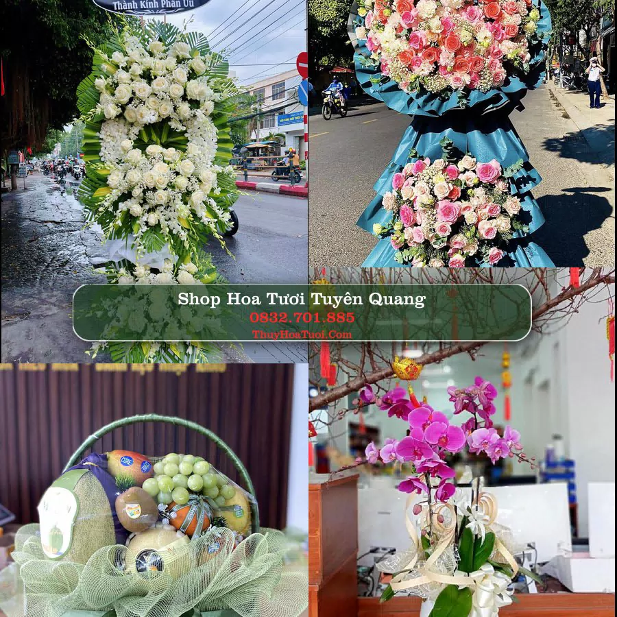 Shop Hoa Tươi Tuyên Quang - Đặt Hoa Online Giao Nhanh
