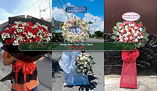 Shop Hoa Tươi Vân Canh - Huyện Vân Canh (Cũ)