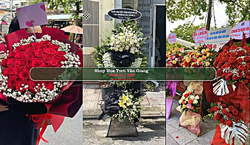 Shop Hoa Tươi Văn Giang - Huyện Văn Giang (Cũ)