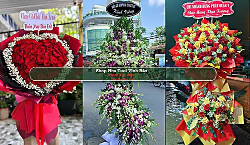 Shop Hoa Tươi Vĩnh Bảo - Huyện Vĩnh Bảo (Cũ)