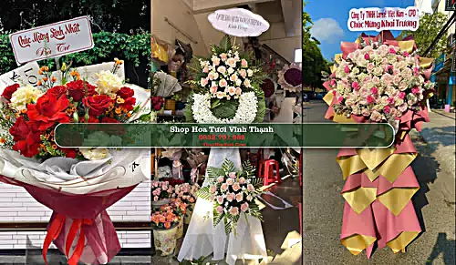 Shop Hoa Tươi Vĩnh Thạnh - Huyện Vĩnh Thạnh (Cũ)
