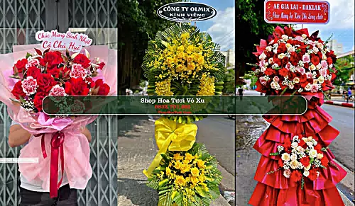 Shop Hoa Tươi Võ Xu - Huyện Đức Linh (Cũ)