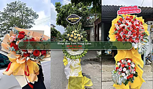 Shop Hoa Tươi Vũng Liêm - Huyện  Vũng Liêm (Cũ)
