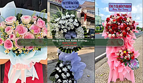 Shop Hoa Tươi Xuân Trường - Huyện Xuân Trường (Cũ)