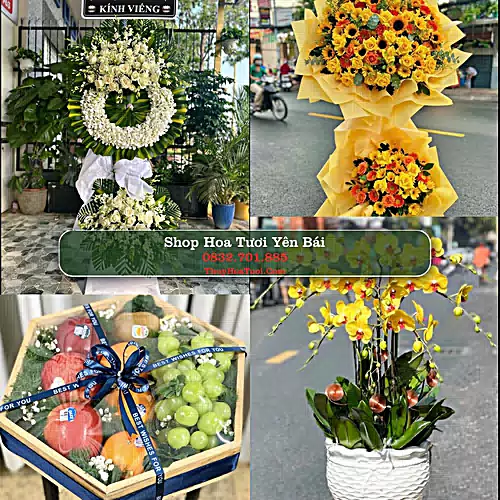 Shop Hoa Tươi Yên Bái - Hoa Đẹp Cho Mọi Dịp