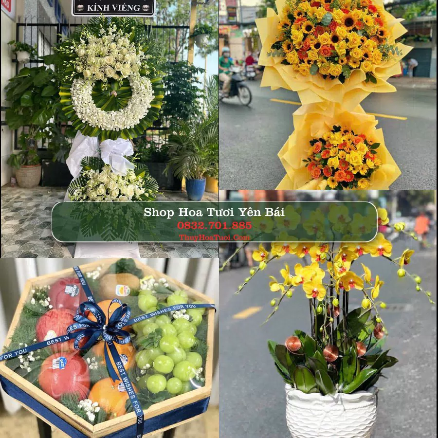 Shop Hoa Tươi Yên Bái - Hoa Đẹp Cho Mọi Dịp