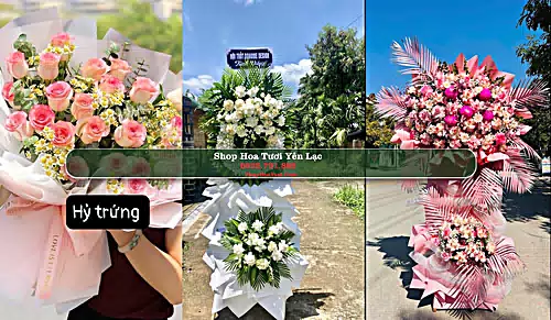 Shop Hoa Tươi Yên Lạc - Huyện Yên Lạc (Cũ)