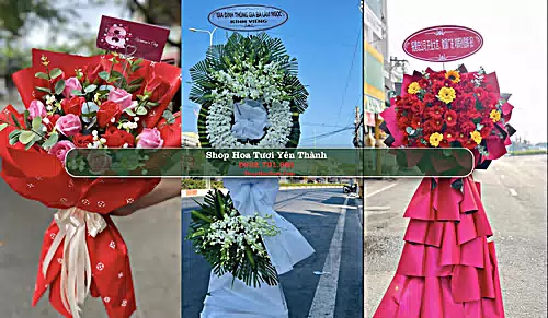 Shop Hoa Tươi Yên Thành - Huyện Yên Thành (Cũ)