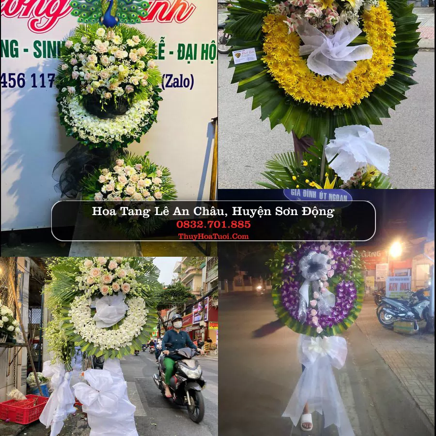 Hoa Tang Lễ An Châu Sơn Động Bắc Giang (Cũ)