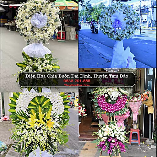Hoa Tang Lễ Đại Đình, Tam Đảo, Vĩnh Phúc (Cũ)