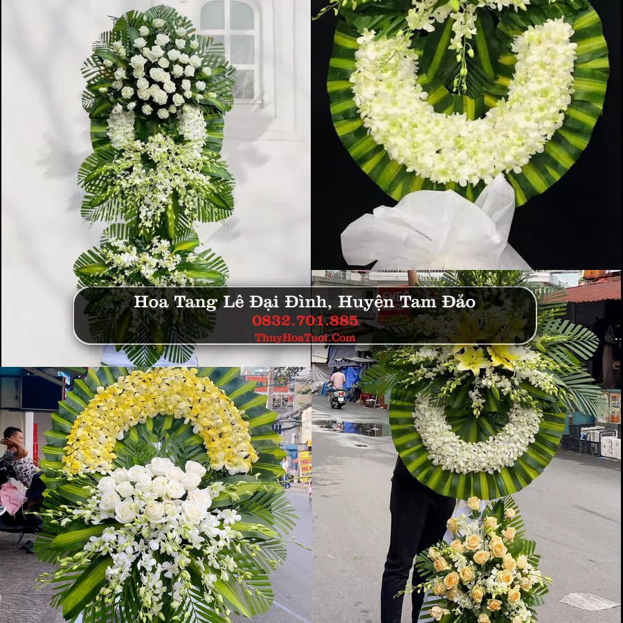 Kệ hoa tang lễ giao tại Đại Đình, Tam Đảo