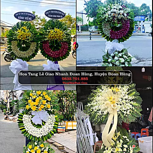 Đặt Vòng Hoa Đám Tang tại Đoan Hùng, Đoan Hùng, Phú Thọ (Cũ)