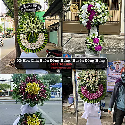 Đặt Hoa Tang Lễ tại Đông Hưng, Đông Hưng, Thái Bình (Cũ)