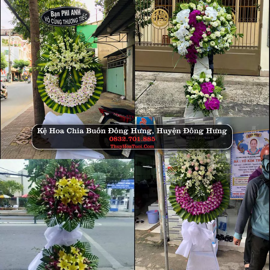 Đặt Hoa Tang Lễ tại Đông Hưng, Đông Hưng, Thái Bình (Cũ)