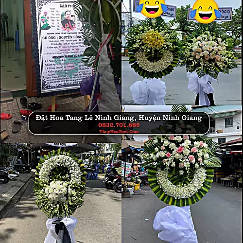 Đặt Vòng Hoa Chia Buồn tại Ninh Giang, Ninh Giang, Hải Dương (Cũ)