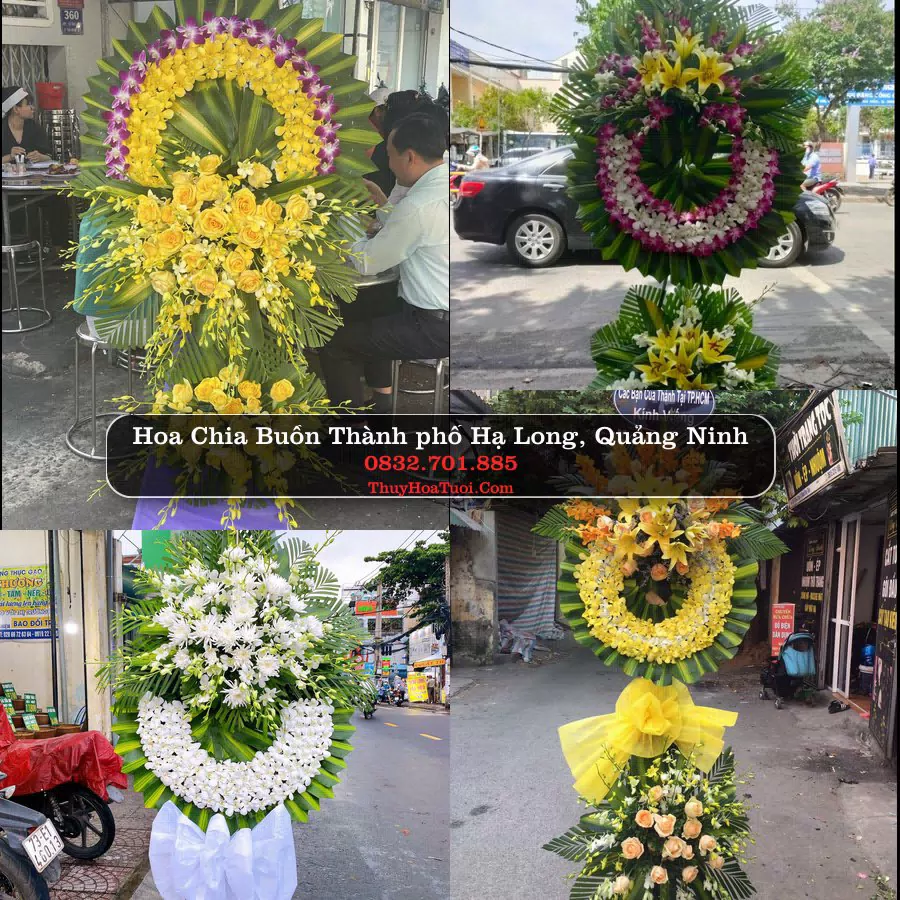 Đặt Hoa Chia Buồn tại Thành phố Hạ Long, Quảng Ninh (Cũ)