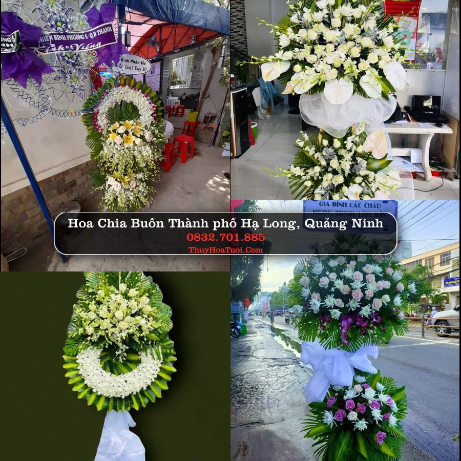 Kệ hoa tang lễ giao tại Thành phố Hạ Long, Quảng Ninh