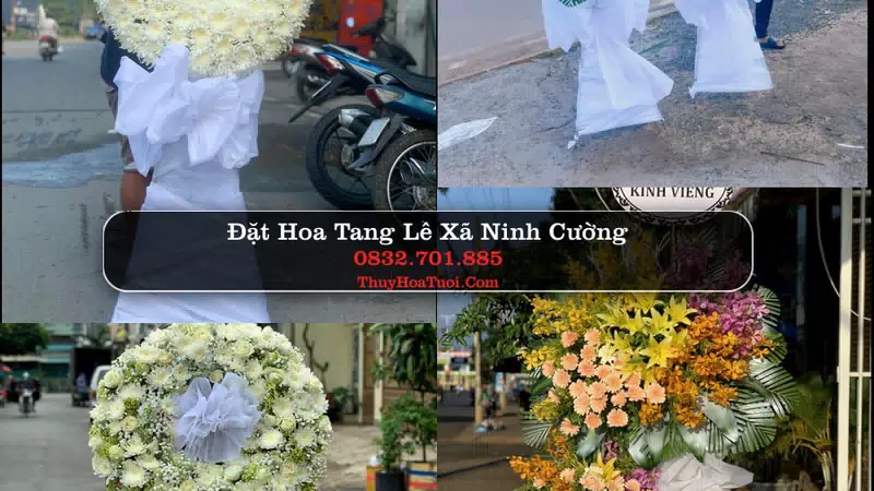 Đặt Vòng Hoa Tang Lễ tại Xã Ninh Cường, Ninh Bình