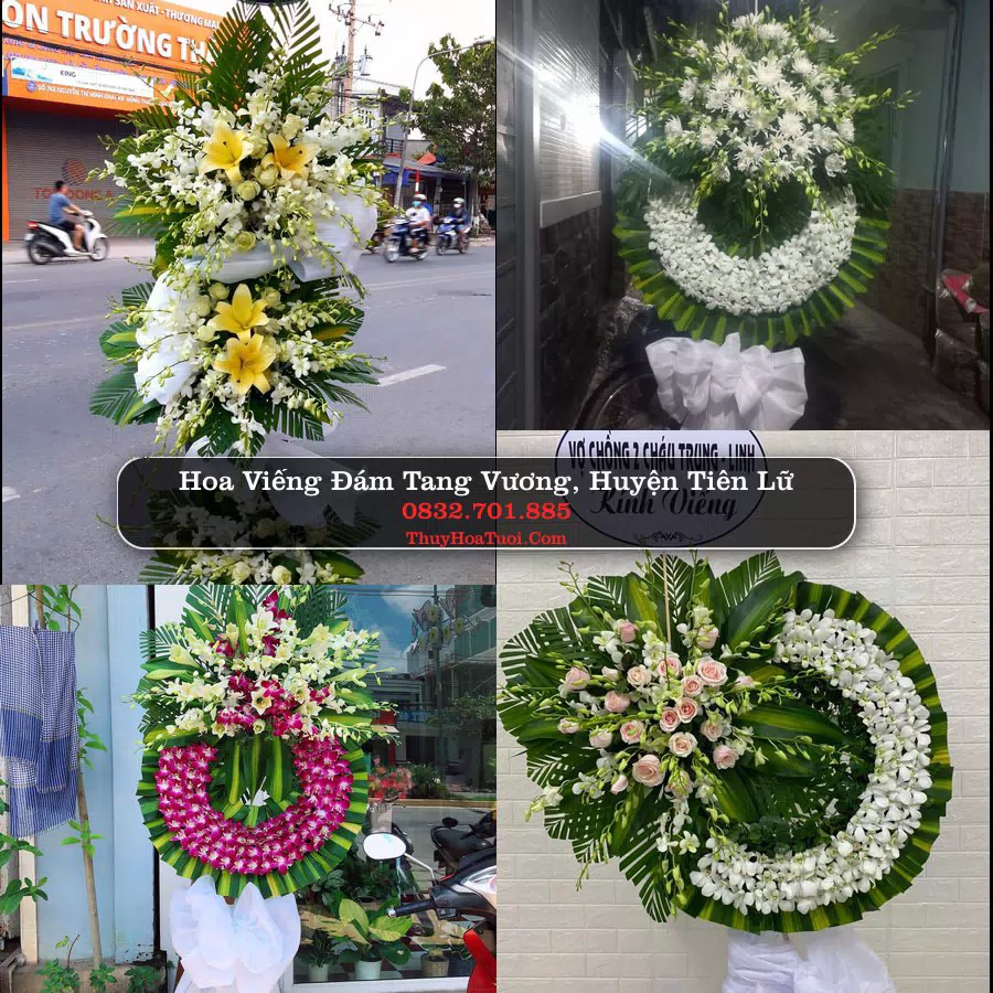 Kệ hoa tang lễ giao tại Vương, Tiên Lữ