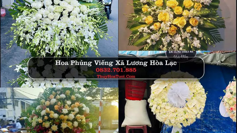Đặt Vòng Hoa Chia Buồn tại Xã Lương Hòa Lạc, Đồng Tháp