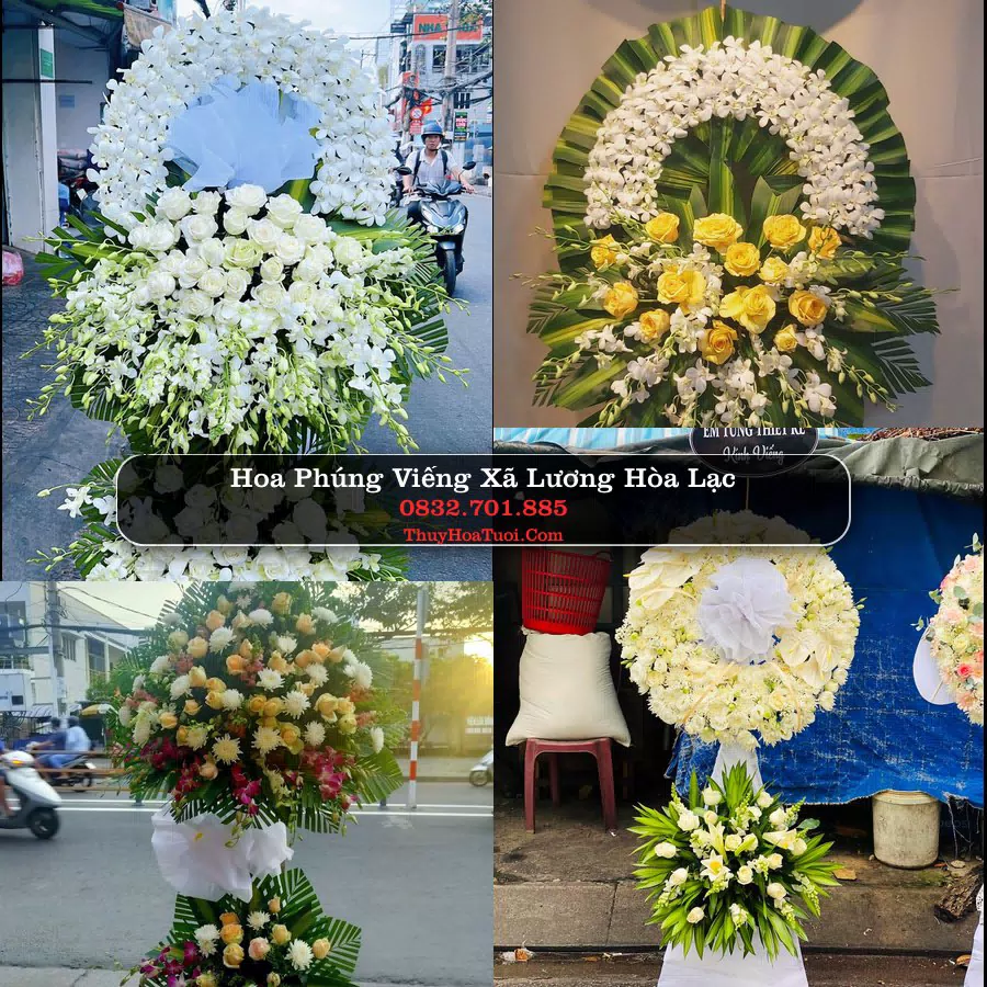 Đặt Vòng Hoa Chia Buồn tại Xã Lương Hòa Lạc, Đồng Tháp
