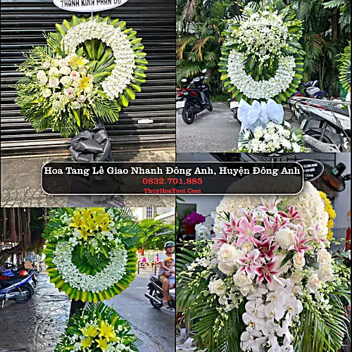 Đặt Vòng Hoa Chia Buồn tại Đông Anh, Hà Nội (Cũ)