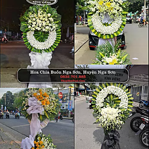 Đặt Hoa Chia Buồn tại Nga Sơn, Nga Sơn, Thanh Hóa (Cũ)